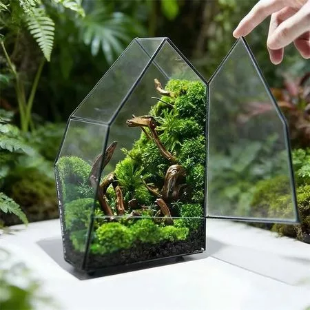Микро-ландшафтный мох папоротник геометрический стеклянный террариум с дверцей — для теплица