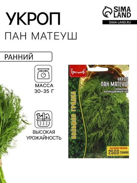 Семена Укроп «Пан Матеуш» быстроотрастающий — для огород