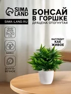 Искусственный цветок в горшке «Драцена отогнутая» — для полив — фото 9