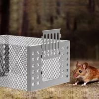 Домашний Садовый Клетка-ловушка для мышей Удочка-ловушка для — для участок — фото 2