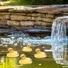 5 шт. 9 см Охотничья приманка Плавающие утки — для участок