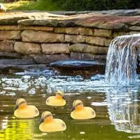 5 шт. 9 см Охотничья приманка Плавающие утки — для участок — фото 2
