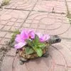 Имитация Черепахи-плантатора Смола Креативное Животное Украшение Ваза Садовый Горшок — для участок