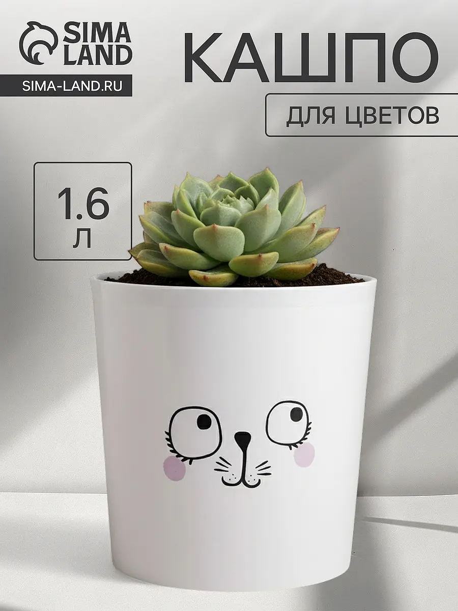 Кашпо для цветов — для декор