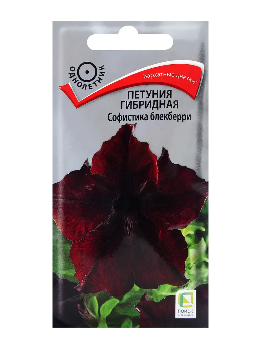 Семена цветов петуния гибридная софистика блекберри — для огород