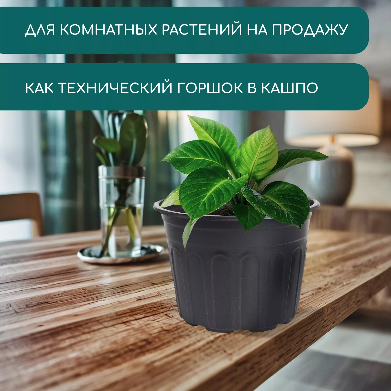 Горшок для рассады — для теплица — фото 4
