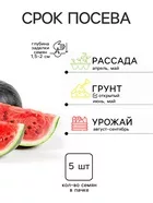 Семена Арбуз «Сахарная избушка» 5 шт. — для огород — фото 9