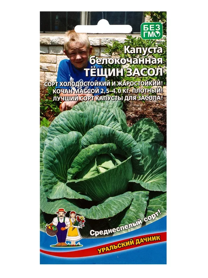 Семена Капуста белокочанная «Тещин засол» 0.3 г — для огород — фото 3