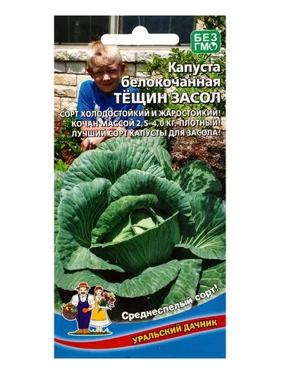 Семена Капуста белокочанная «Тещин засол» 0.3 г — для огород — фото 6