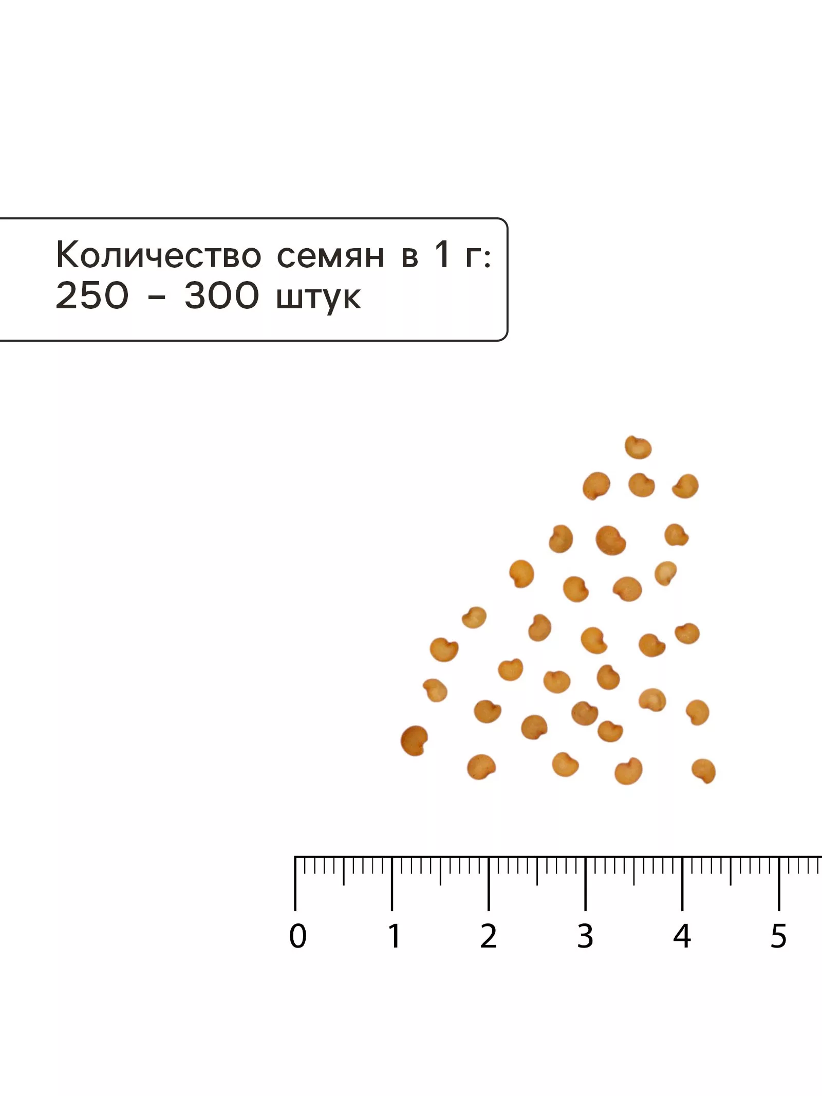 Семена Баклажан «Молочная девочка» 20 шт. — для огород — фото 4
