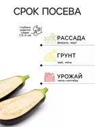 Семена Баклажан «Молочная девочка» 20 шт. — для огород — фото 9