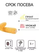 Семена Кукуруза сахарная «Ранняя лакомка 121» — для огород — фото 9