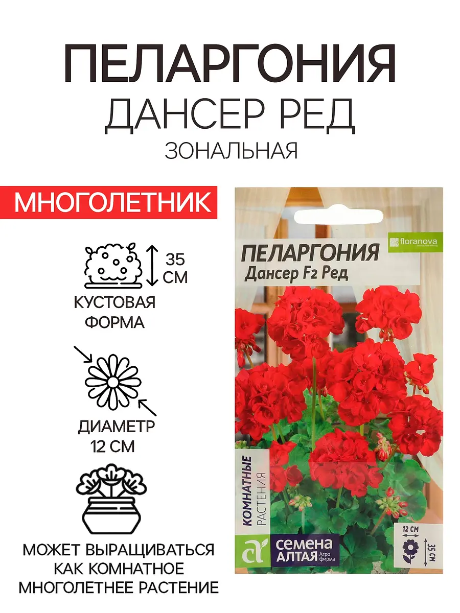 Семена цветов пеларгония — для огород