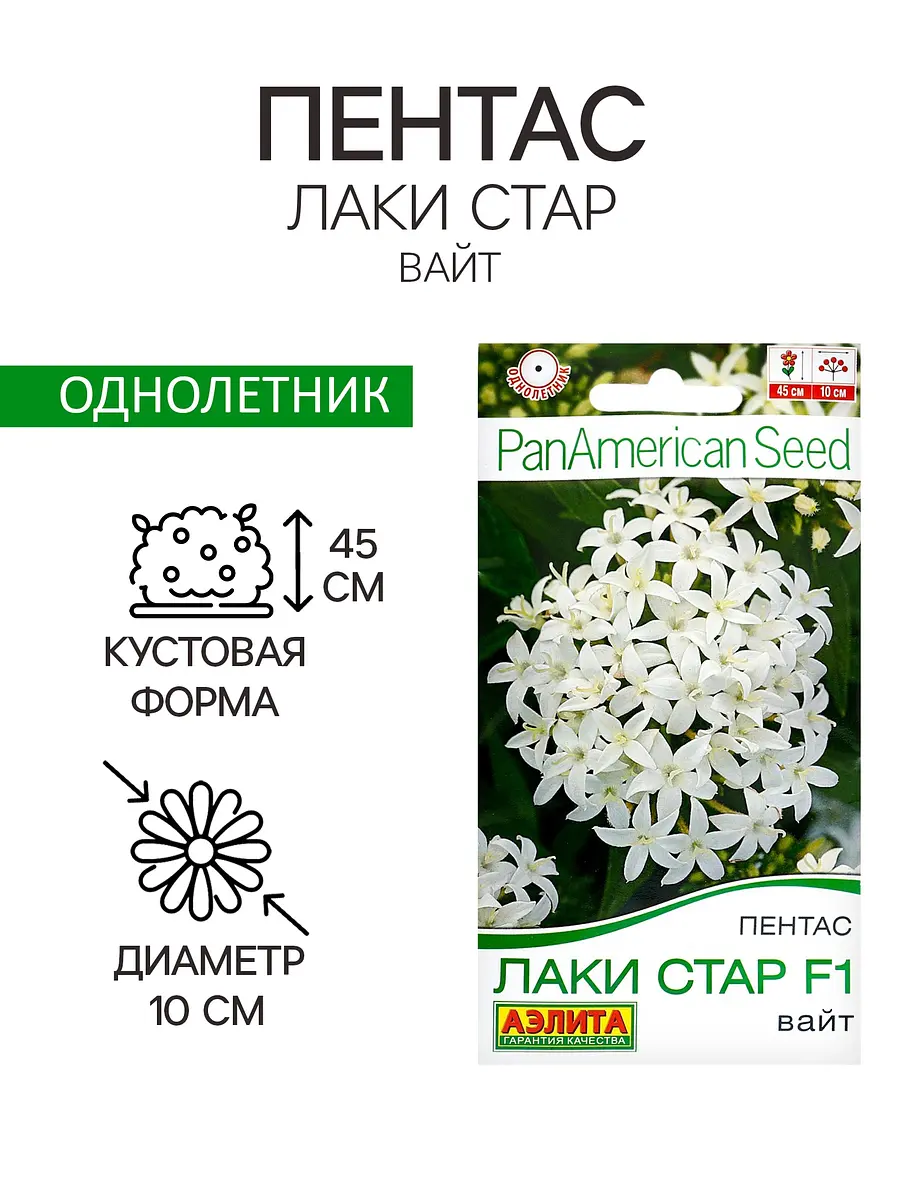 Семена цветов пентас — для огород