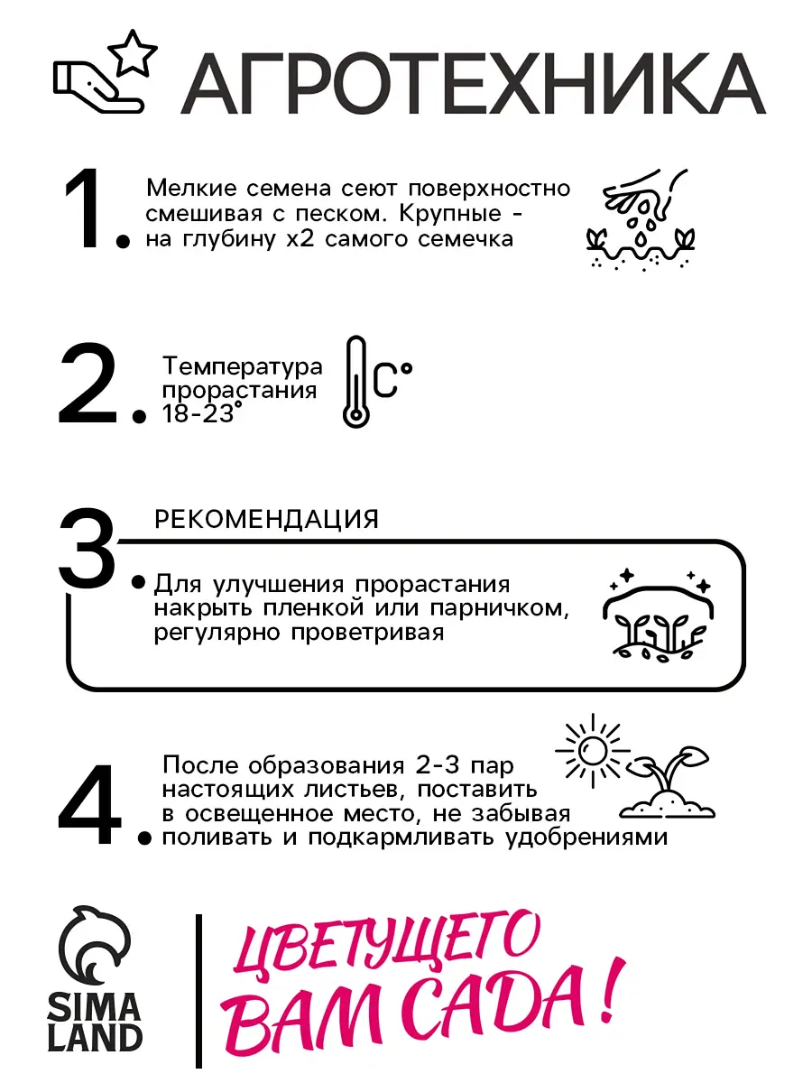Семена цветов изотома джемини блю — для огород — фото 4