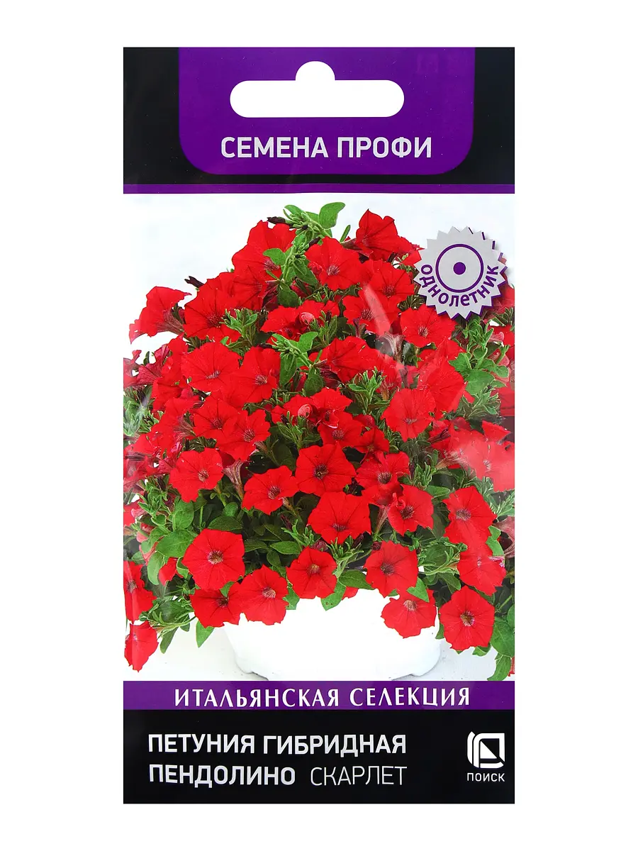 Семена цветов петуния гибридная — для огород