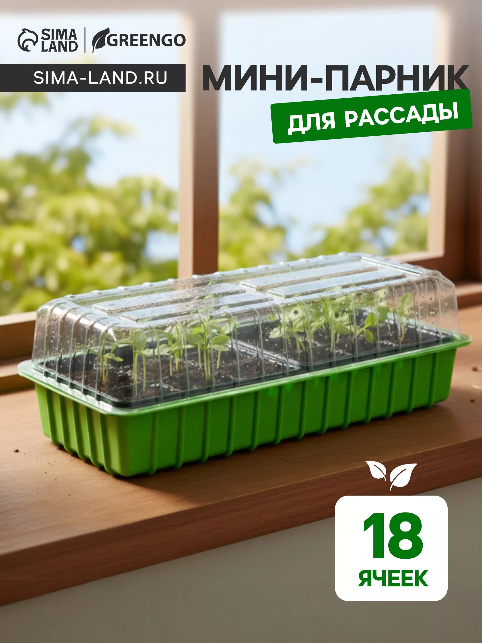 Мини-парник для рассады — для теплица