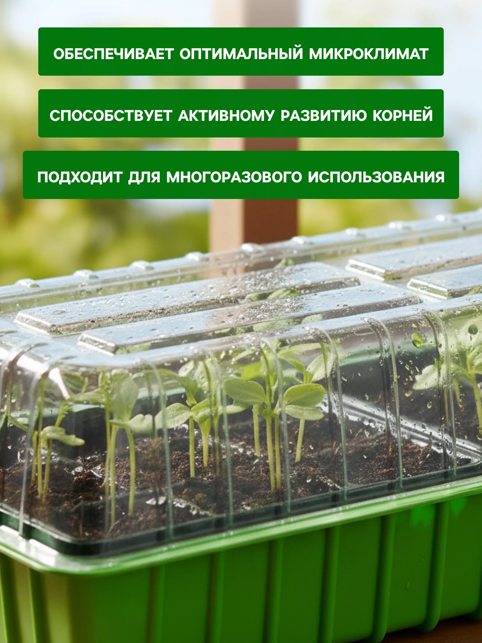 Мини-парник для рассады — для теплица — фото 3