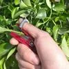 Красный Инструмент для сбора овощей и фруктов Нож-отделитель для — для участок
