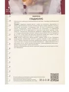 Гладиолус крупноцветковый «Роксанна» — для полив — фото 7