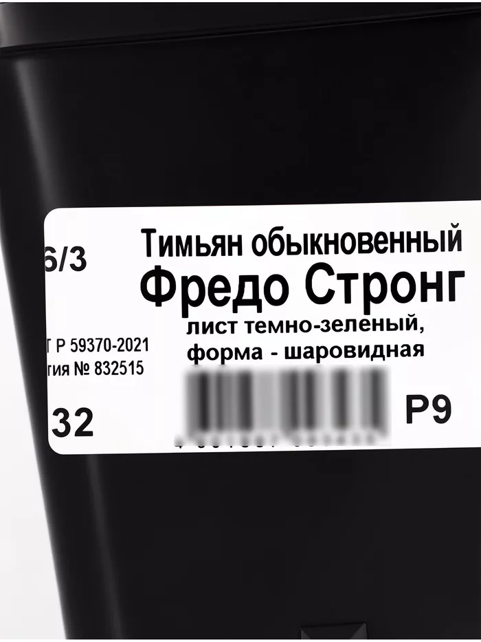 Тимьян обыкновенный «Фредо Стронг» — для полив — фото 7