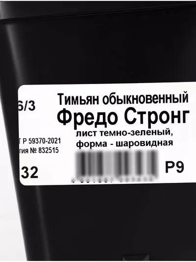 Тимьян обыкновенный «Фредо Стронг» — для полив — фото 8