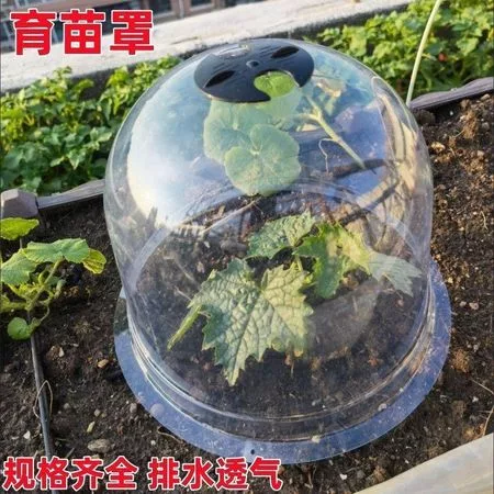 Садовый купол для рассады — для теплица