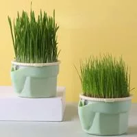 Новый питомец кошка проращивание чашка горшок для выращивания гидропонное растение — для теплица — фото 2