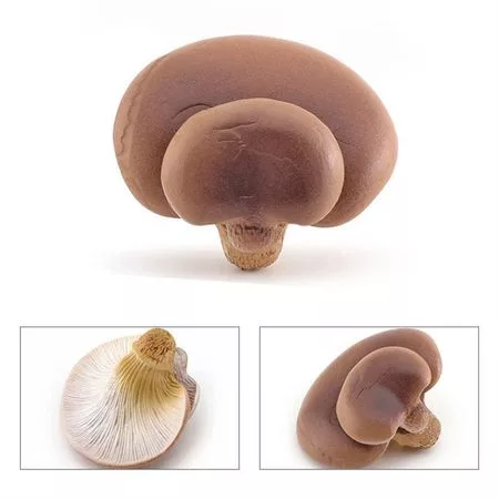 модель гриба Matsutake Oyste — для декор