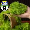 300-30г Искусственные Зеленые Растения Ландшафтные Мини Вечная Жизнь Мох Трава — для участок