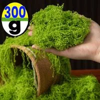 300-30г Искусственные Зеленые Растения Ландшафтные Мини Вечная Жизнь Мох Трава — для участок — фото 2