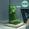 Мини Стеклянный Тропический Лес Папоротник Мох Экологический Квадрат Миниатюрный — для теплица