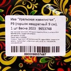 Саженец Ива «Уральская извилистая» — для полив — фото 5