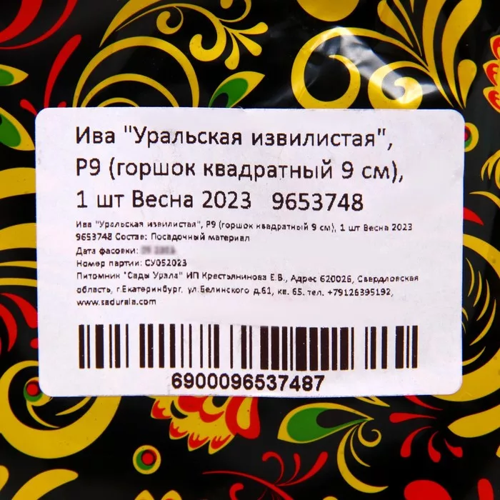 Саженец Ива «Уральская извилистая» — для полив — фото 7