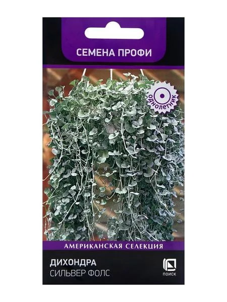 Семена цветов Дихондра «Сильвер Фолс» 5 шт. — для огород