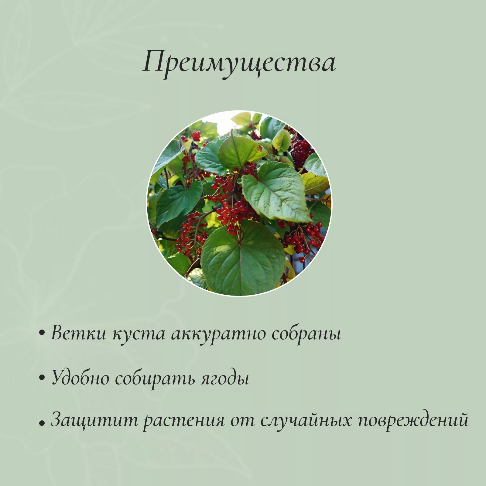 Кустодержатель — для огород — фото 3