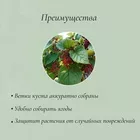Кустодержатель — для огород — фото 9