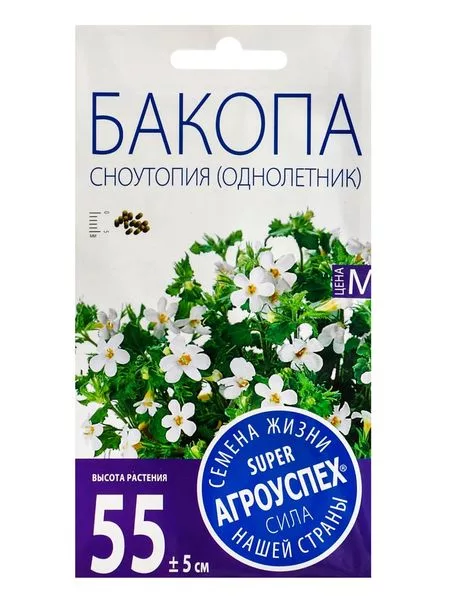 Семена цветов Бакопа «Сноутопия» — для огород