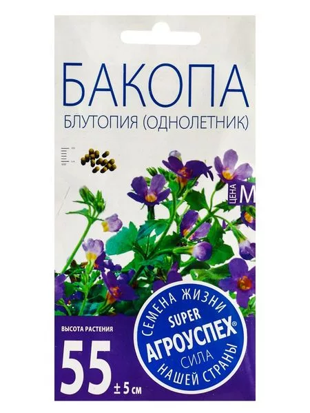 Семена цветов Бакопа «Блутопия» — для огород