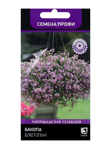 Семена цветов Бакопа Блютопия — для огород