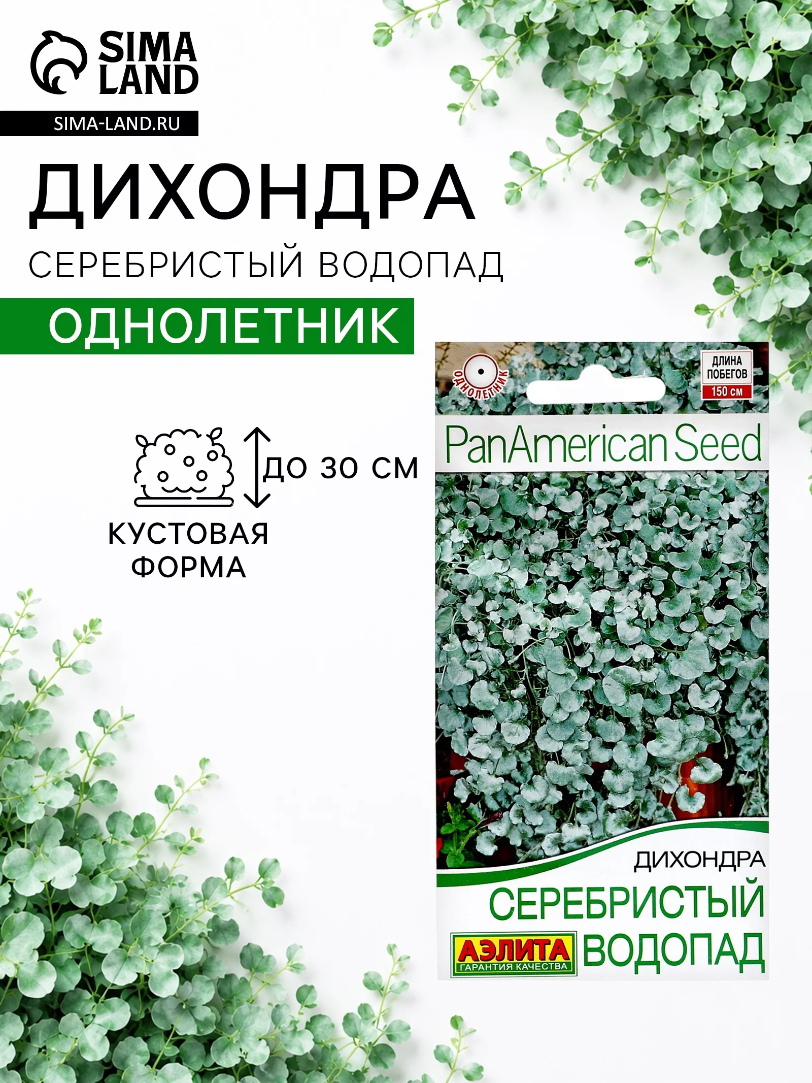 Семена цветов Дихондра «Серебристый водопад» — для огород