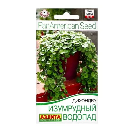Семена цветов Дихондра "Изумрудный водопад" — для огород
