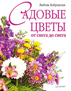 Садовые цветы от снега до — для огород
