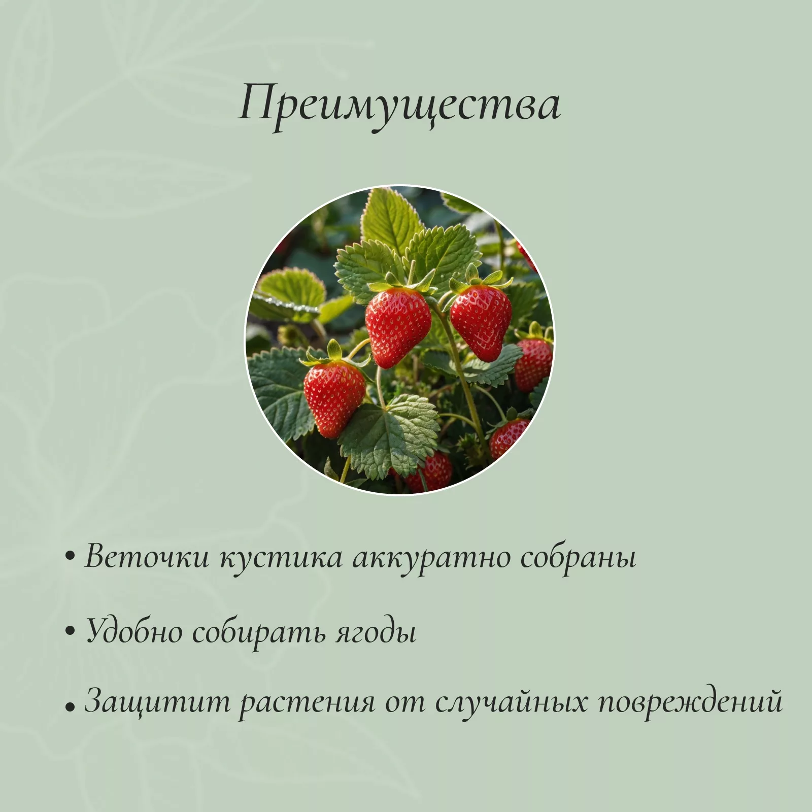 Подставка для клубники — для огород — фото 2