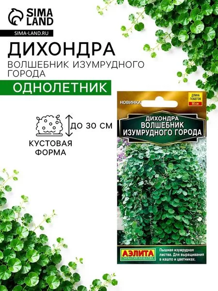 Семена цветов Дихондра «Волшебник Изумрудного города» — для огород