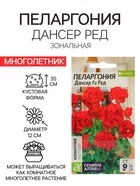 Семена цветов Пеларгония «Дансер Ред» — для огород — фото 8