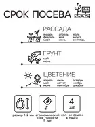 Семена цветов Пеларгония «Дансер Ред» — для огород — фото 9