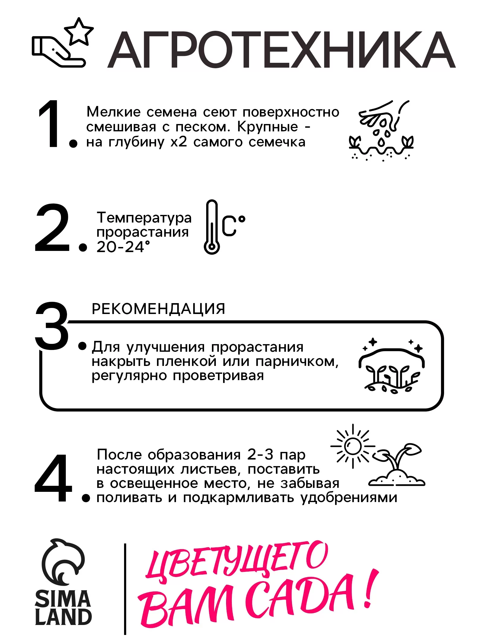Семена цветов Пентас "Лаки стар" F1 Вайт ланцетовидный — для огород — фото 4