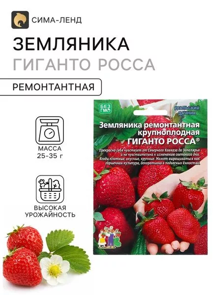 Семена Земляника «Гиганто Росса» — для огород
