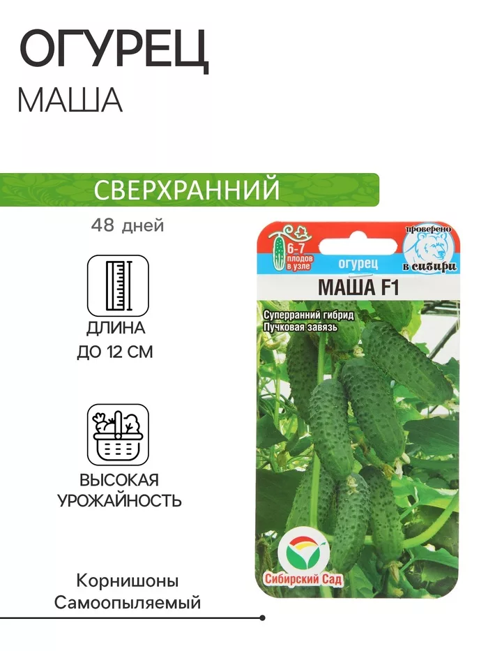 Семена Огурец «Маша» — для огород — фото 7